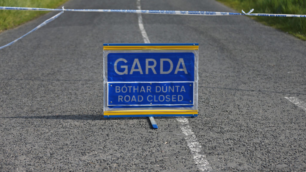 Woman Dies In Liffey Valley Crash