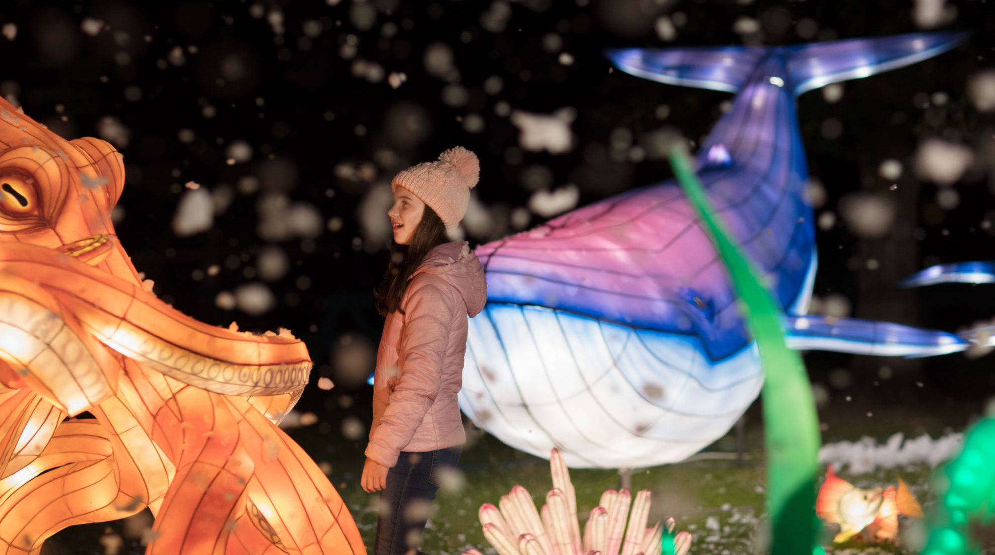 Wild Lights Returns To Dublin Zoo With An Ocean Theme SPIN1038