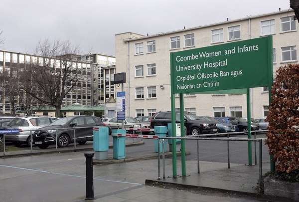 Rodents, Ants, Wasps And Flies Found At Coombe Hospital