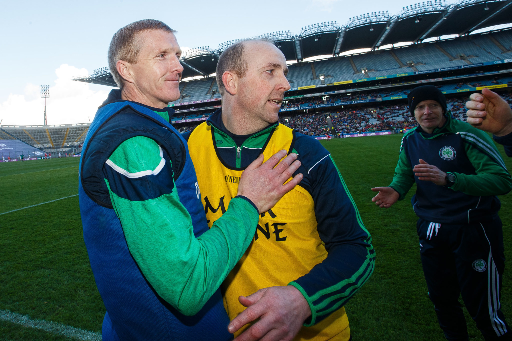 Henry Shefflin