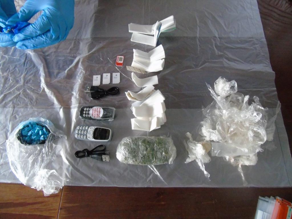 Drugs and mobile phones found in dead rats