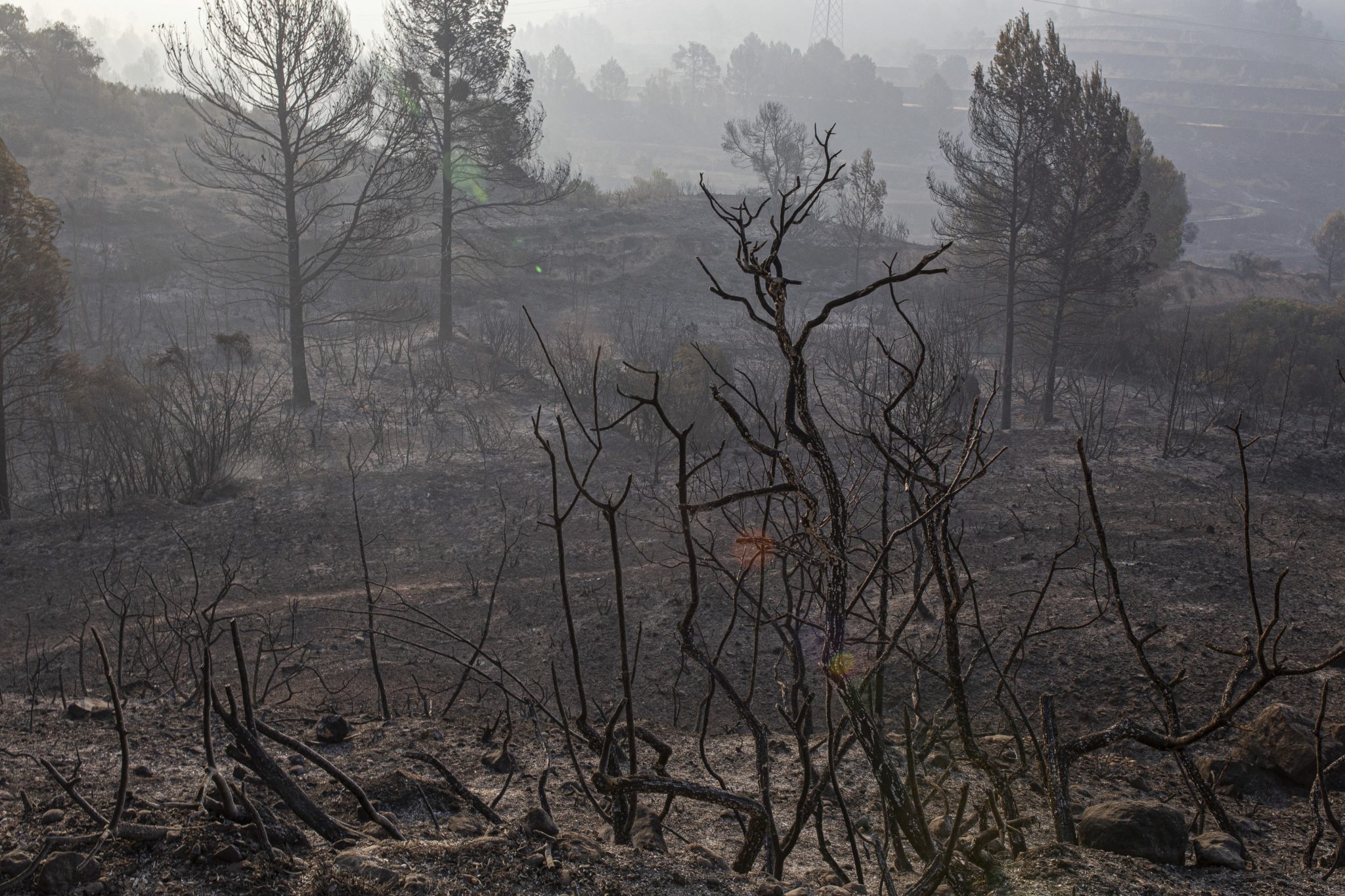 Экологические катастрофы о лесных пожарах. Forest Fires are Raging in Spain.