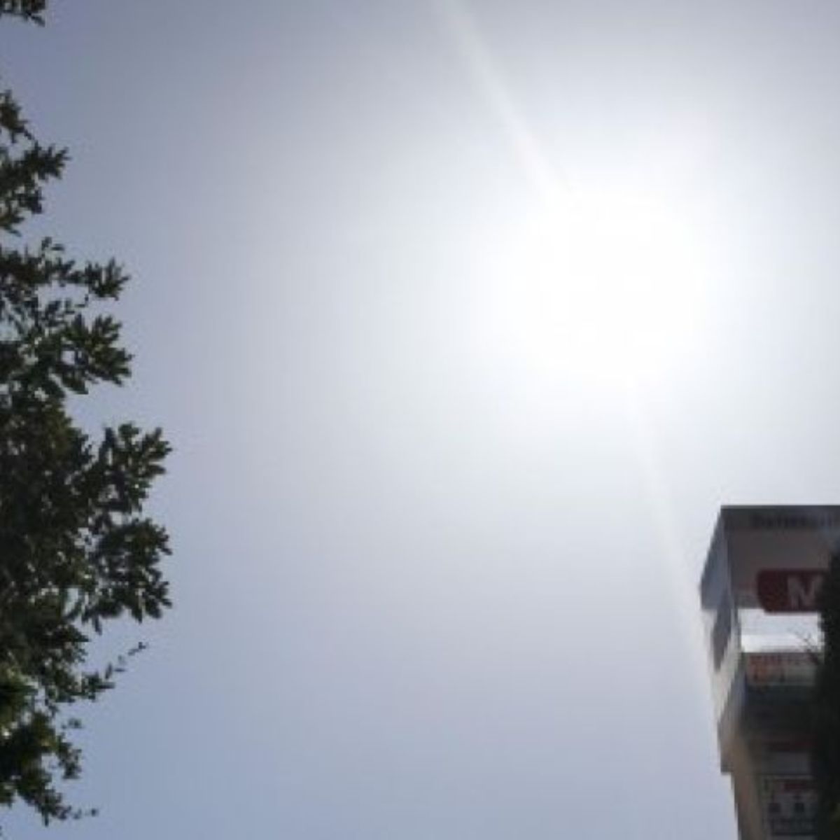 More Weather Warnings As Heatwave Conditions Hit Ireland - Vimarsana News
