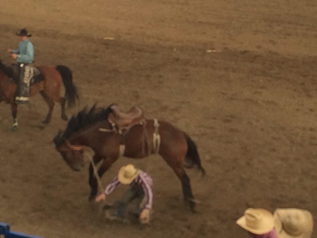 rodeo, Wyoming, Cody