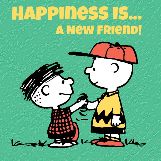 Making new friends on holidays. Is it your thing?