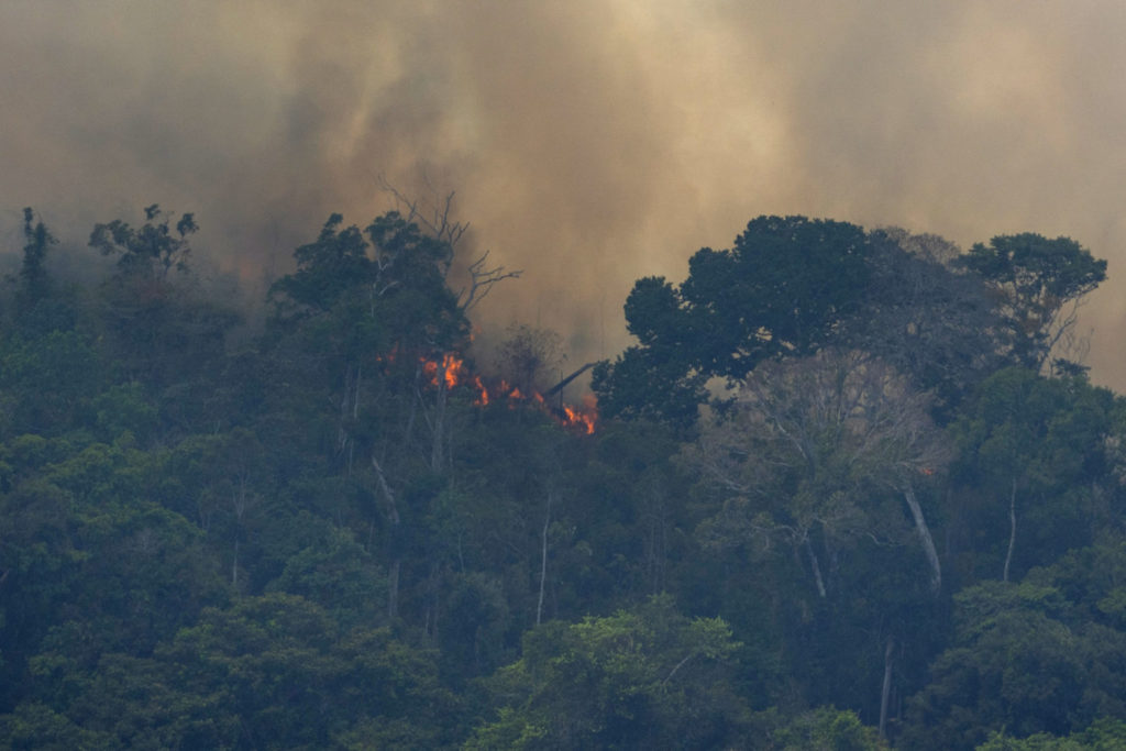 Amazon wildfires