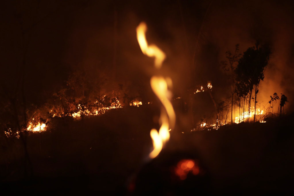 Brazil Amazon Fires