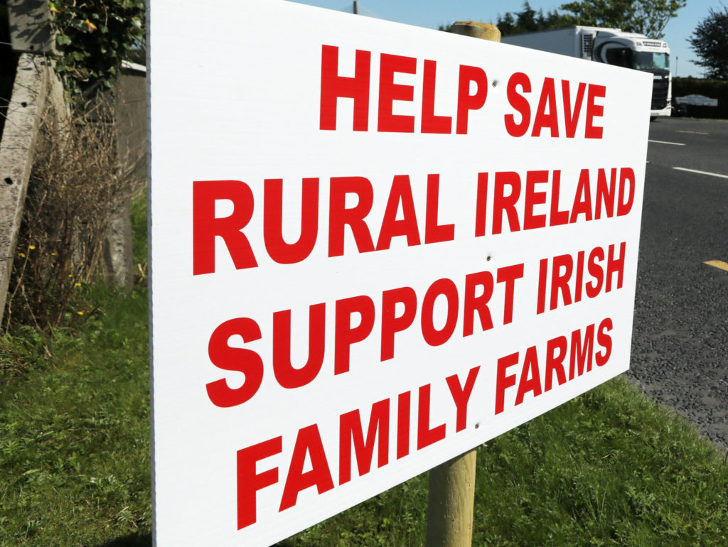 Dr Cara Augustenborg: dairy farming is the real culprit in the beef crisis