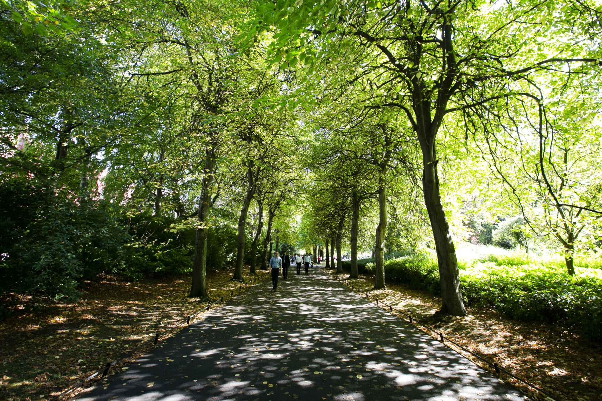 Status Yellow High Temperature Warning Issued As Heatwave Conditions Hit Ireland - Vimarsana News