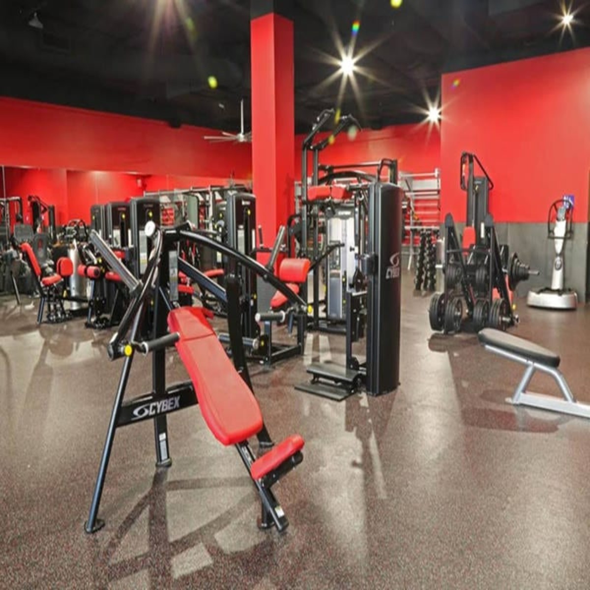 Environmental impacts of the gym Newstalk