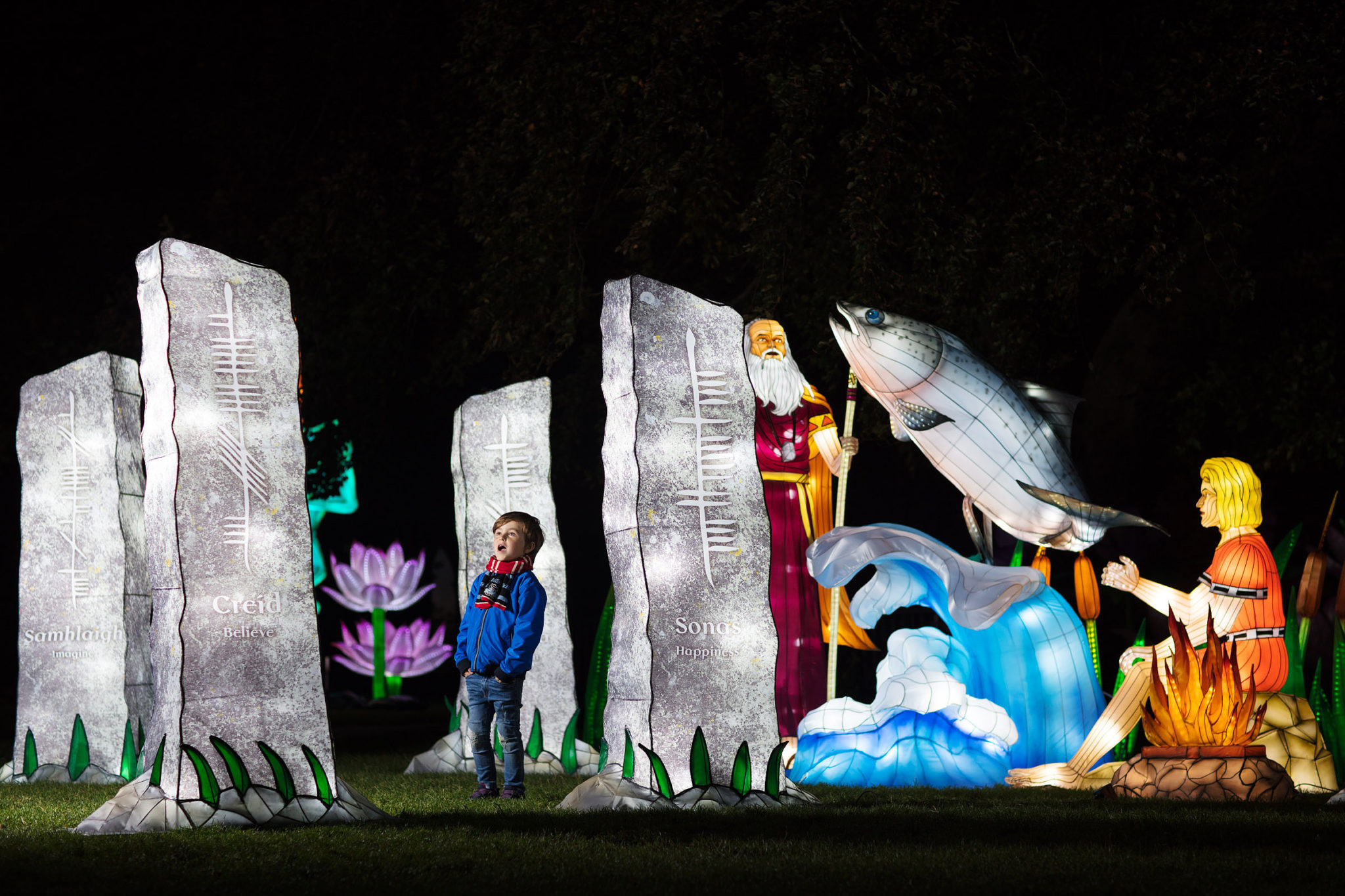 Wild Lights At Dublin Zoo Introduce Brand New Theme & It's A Must See