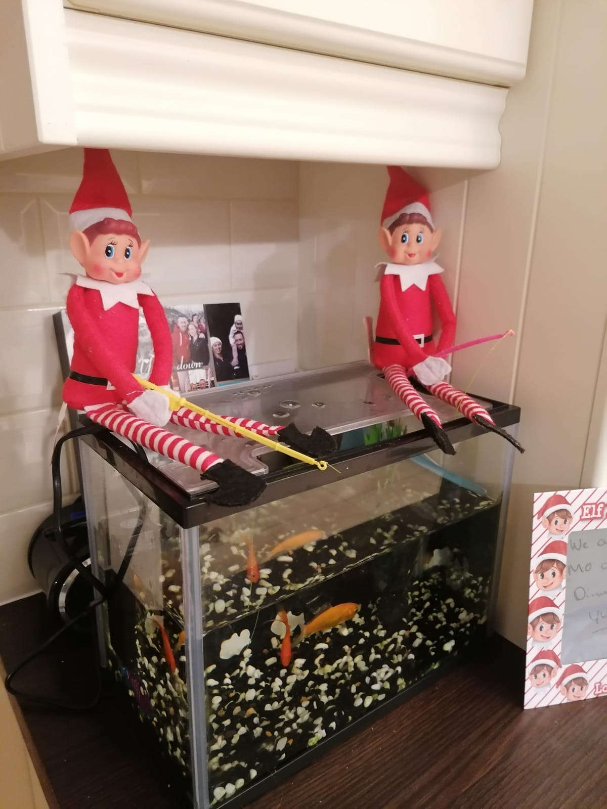 So What Has YOUR Elf Been Up To?