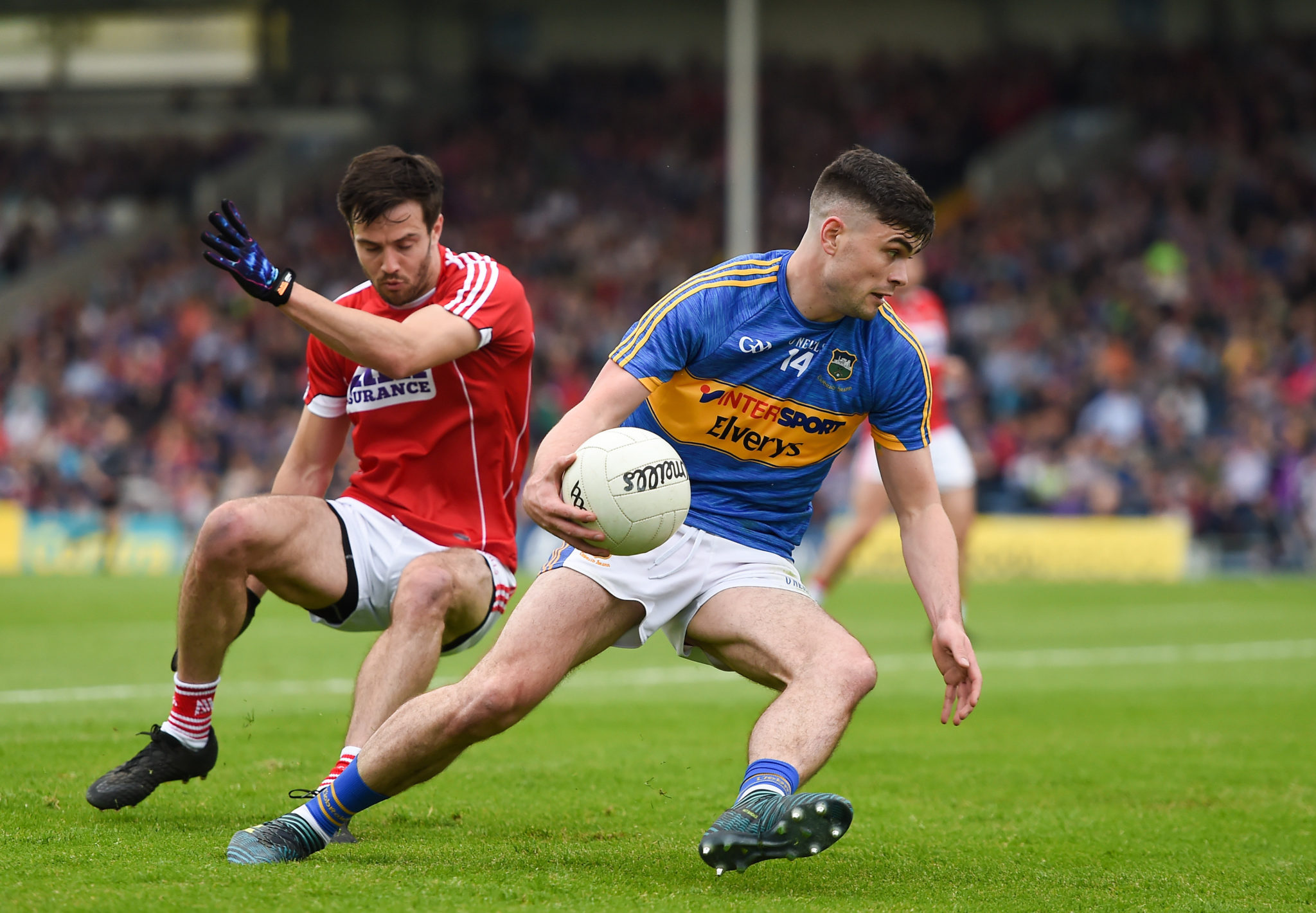 Michael Quinlivan