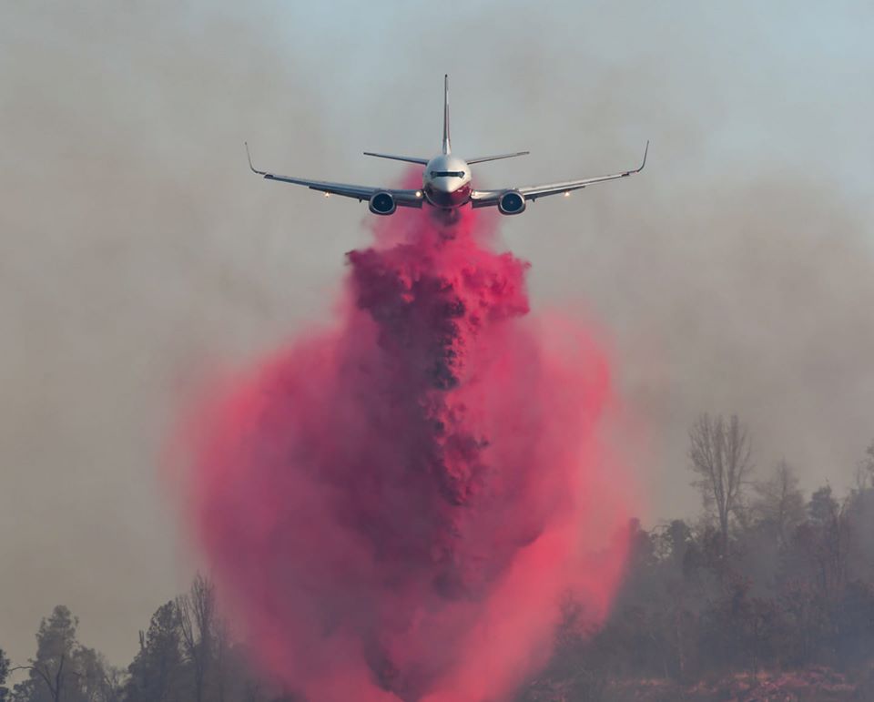 Fire fighting plane Australia