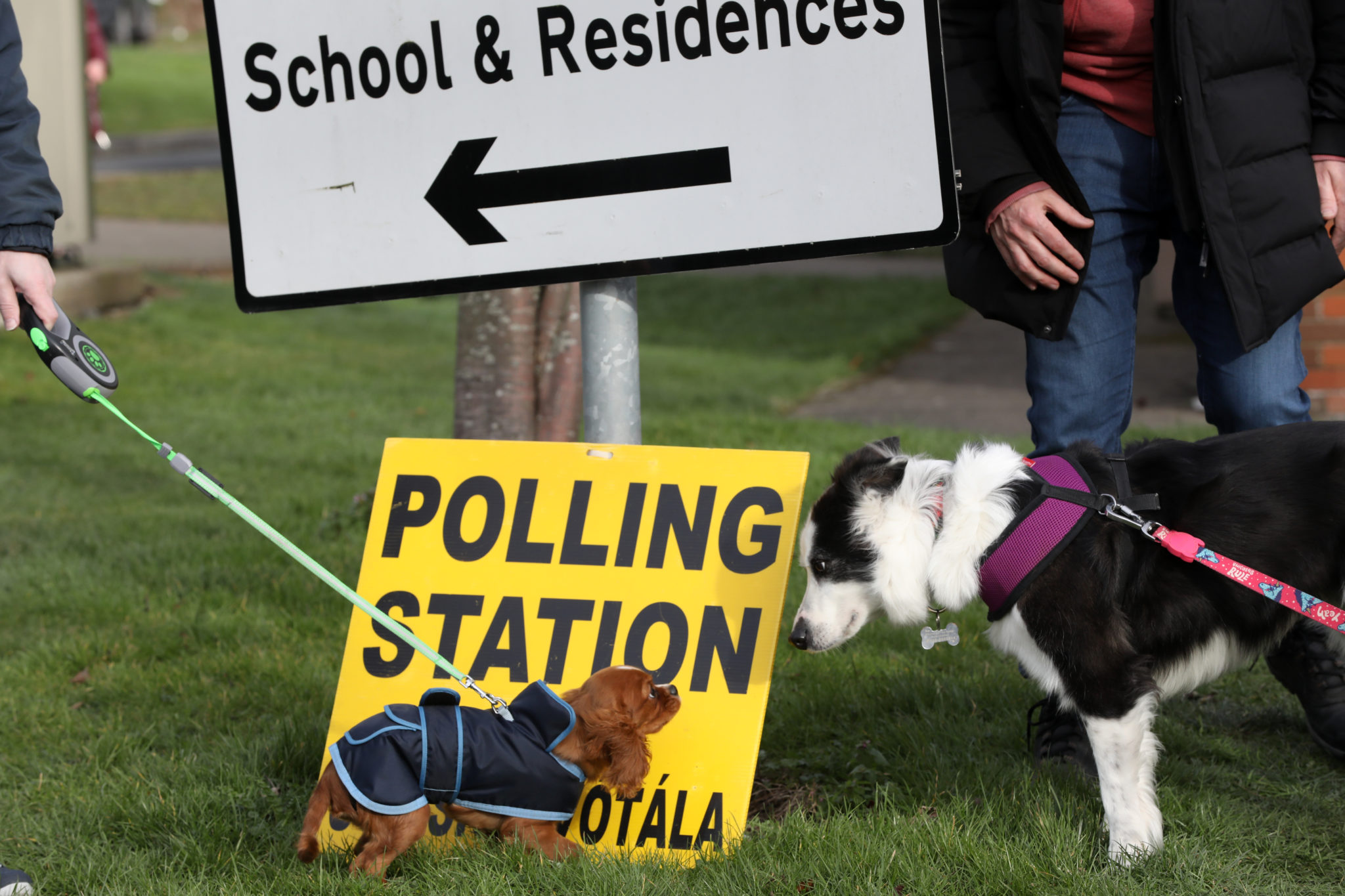 Polling stations voter turnout