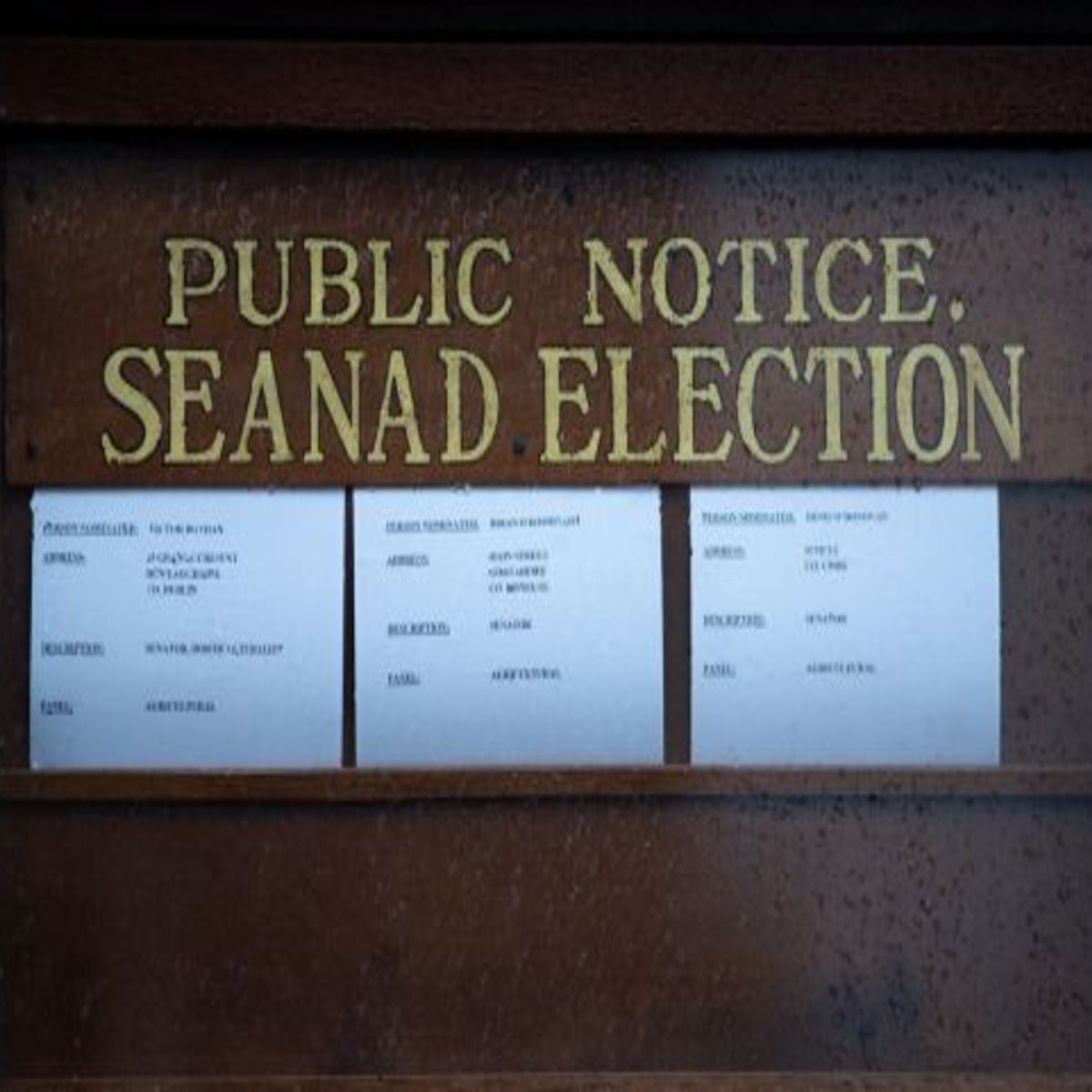 Seanad Election Process Explained | Newstalk 