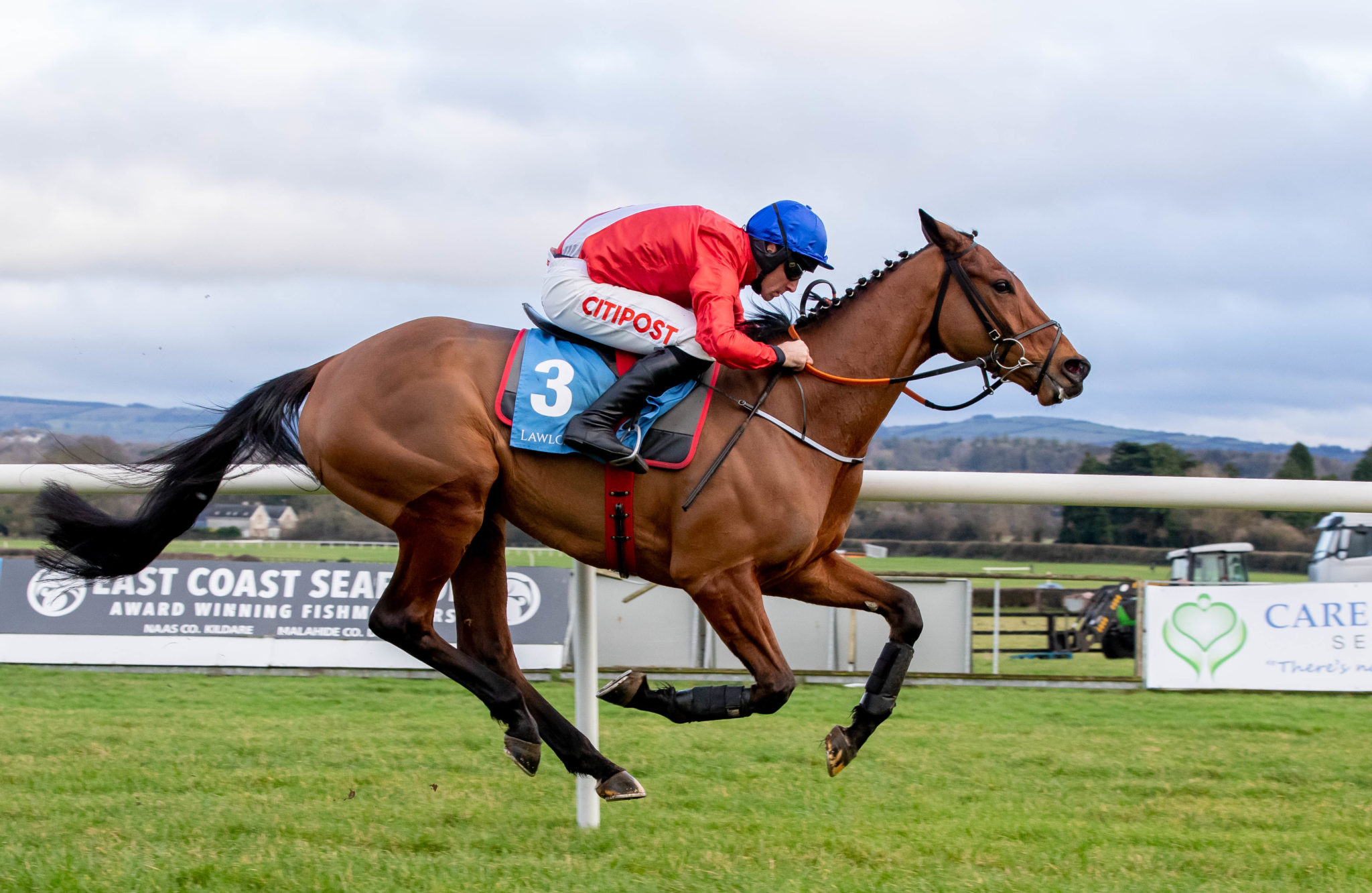 derek o'connor is a big fan of Cheltenham winner Envoi Allen