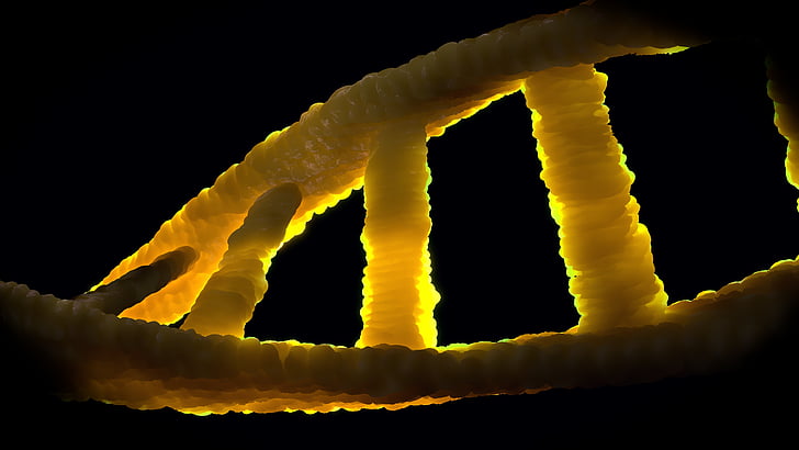 The Genetic Mistakes That Could Shape Our Future Image