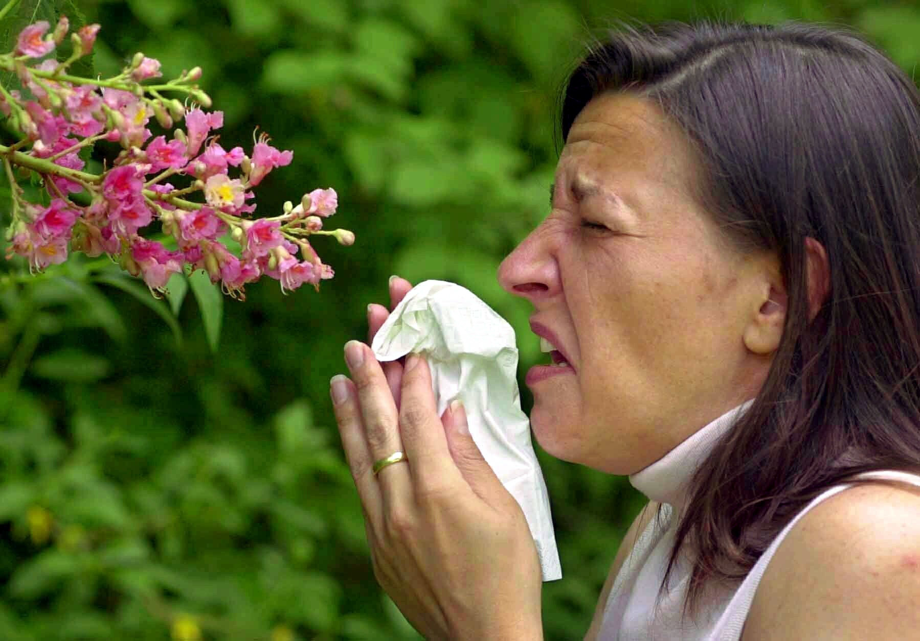 advice-for-hay-fever-sufferers-newstalk