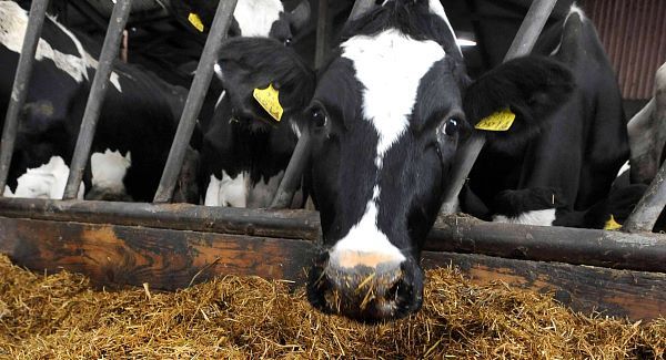 EU Approves Mercosur Trade Deal