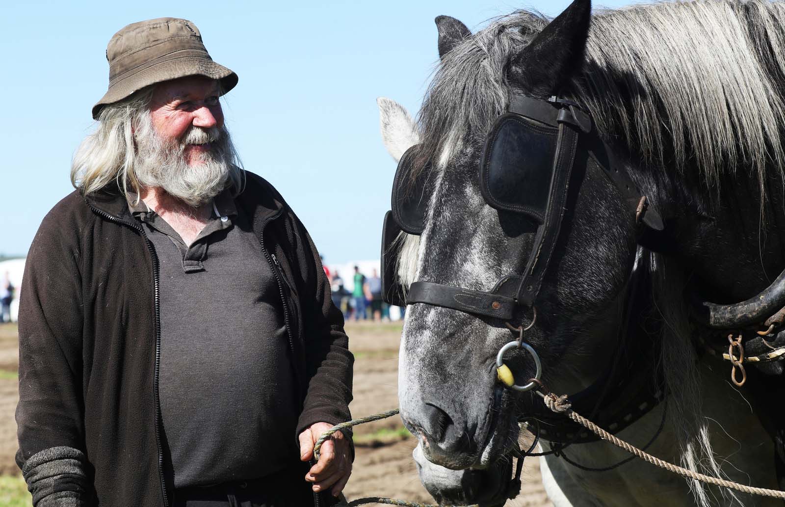 National Ploughing Championships