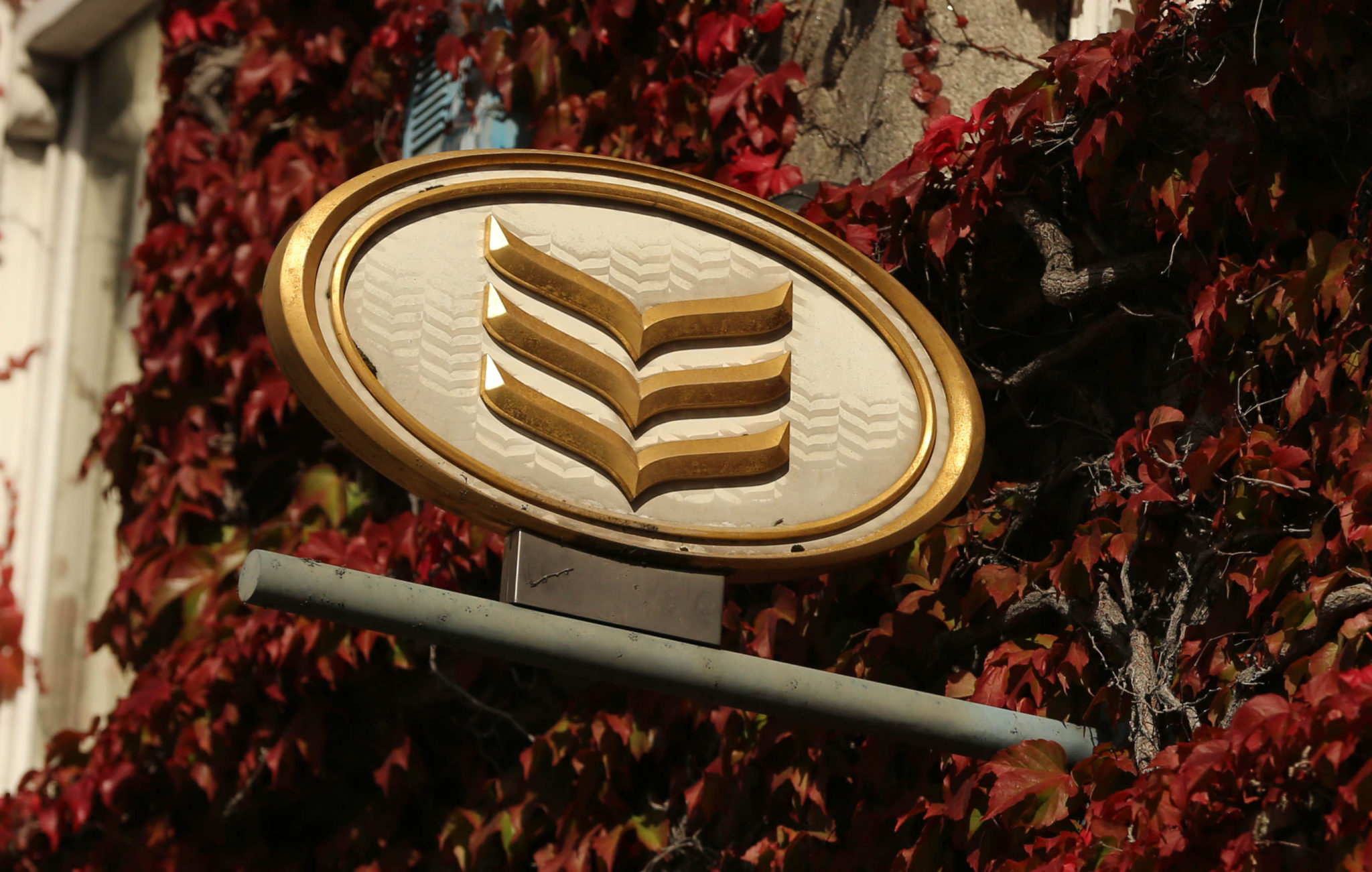Bank