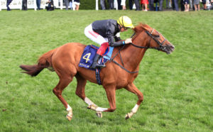 Royal Ascot