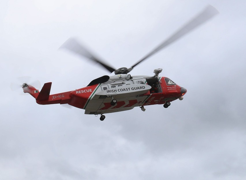 Children 'absolutely traumatised' after boy mauled by dog in Wexford