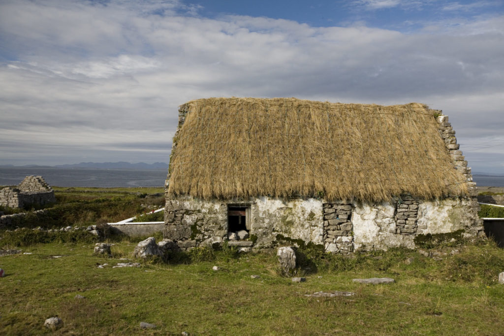 The Art Of Thatching | Newstalk - Vimarsana News
