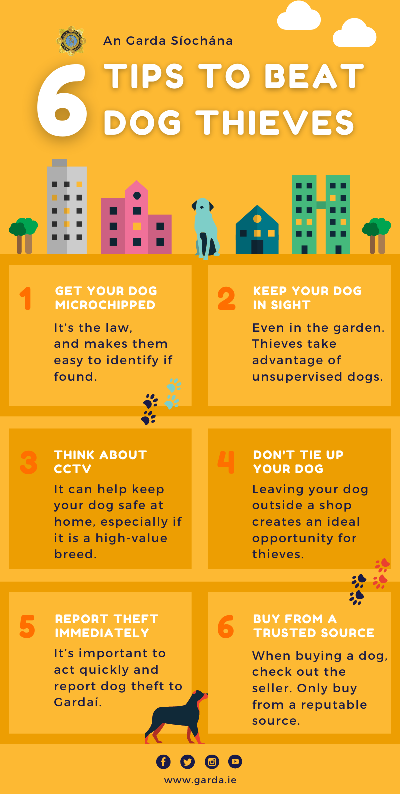 Tips to beat dog thieves
