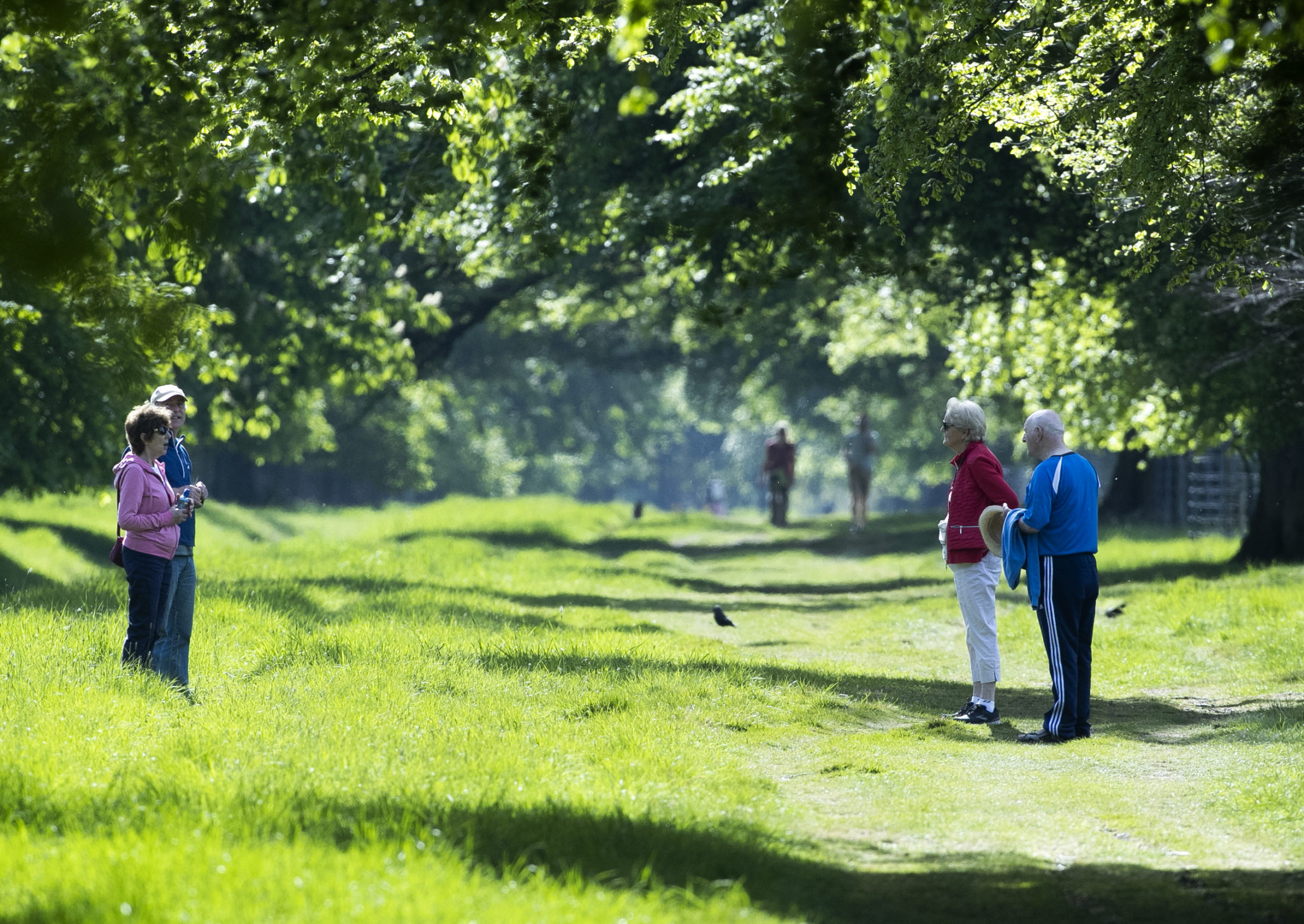 People enjoying the sunshine in the Phoenix Park Weather Temperatures