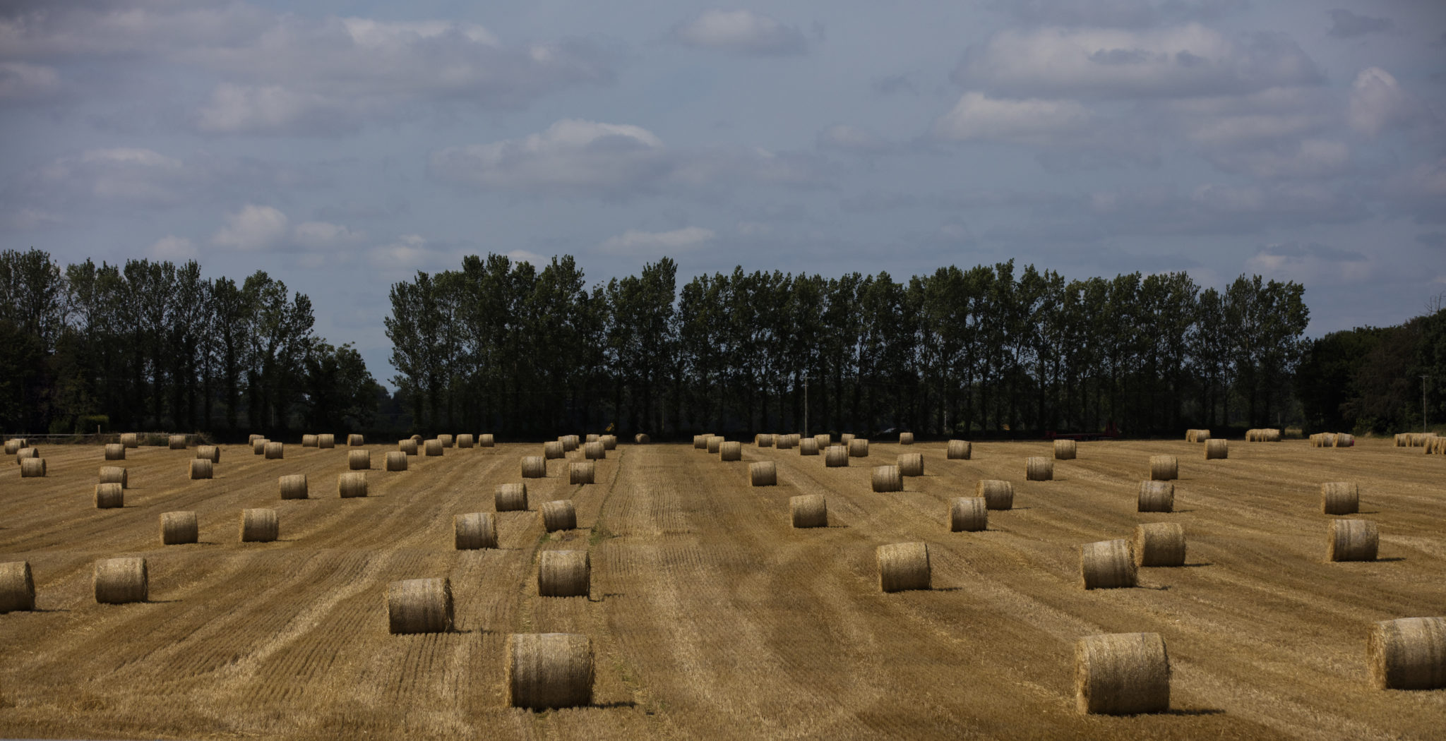 Bales of straw waiting for collection on a farm outside Naas in County Kildare Farmers Agriculture