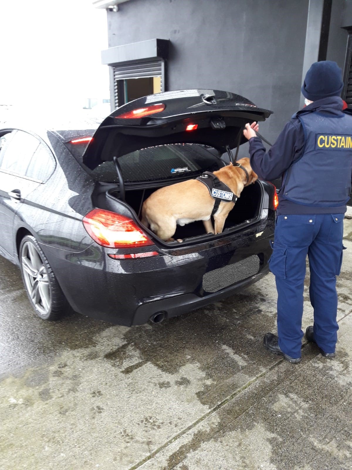 Cars seized by CAB during an operation in Tipperary.
