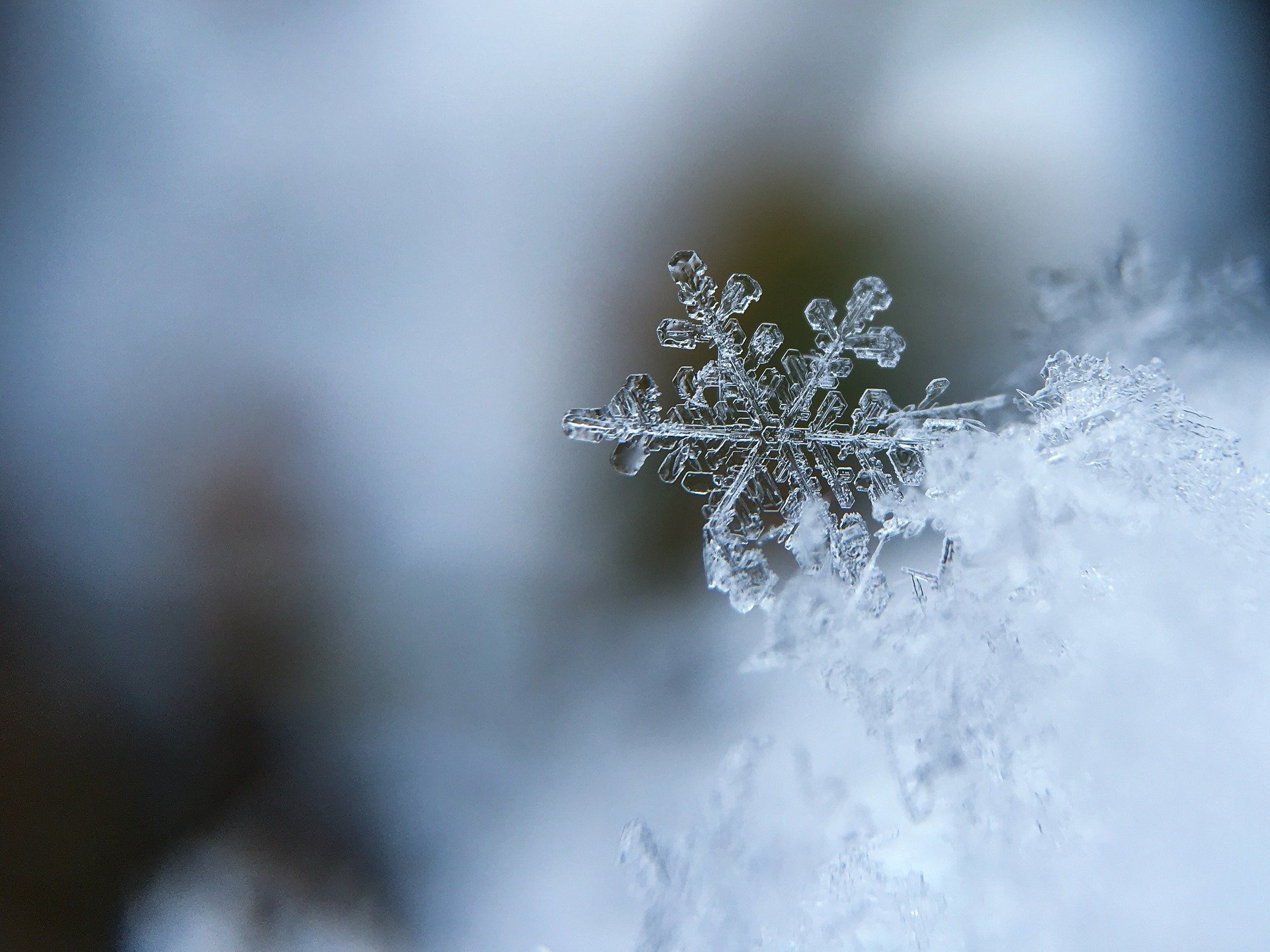 Ice Warnings Return This Evening - Cold To Stick Around - Vimarsana News