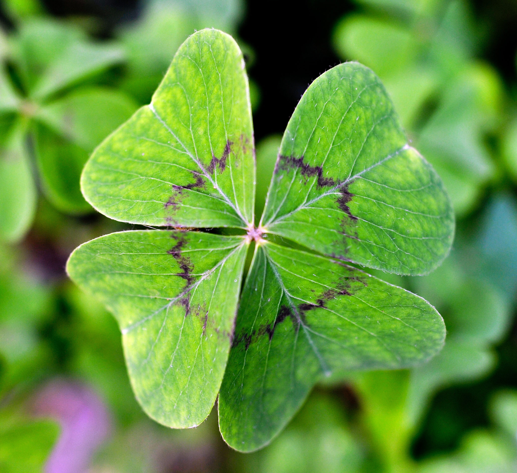 The role of luck in our lives | Newstalk