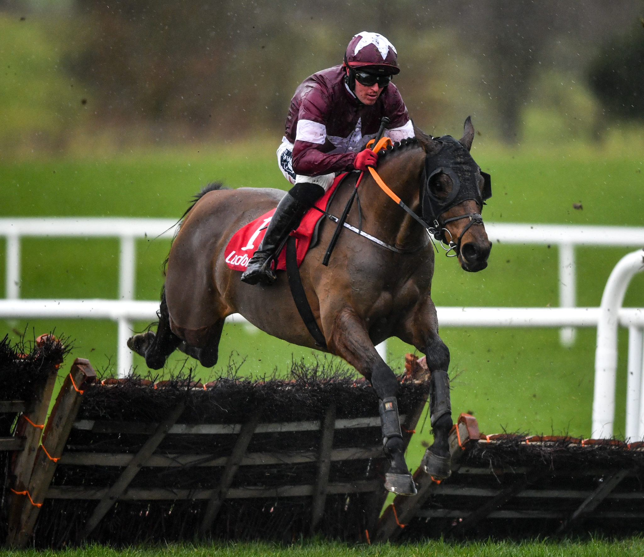 Keith Donoghue and Tiger Roll