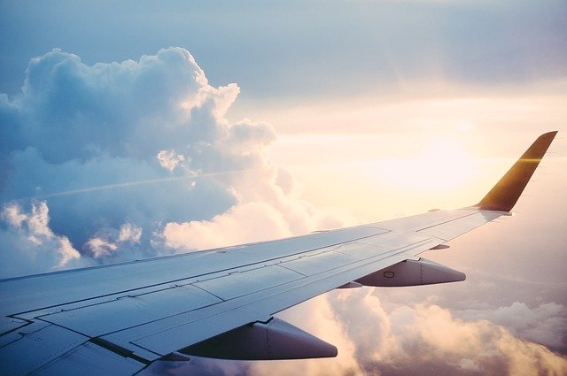 Industry Review: Travel Agents Image