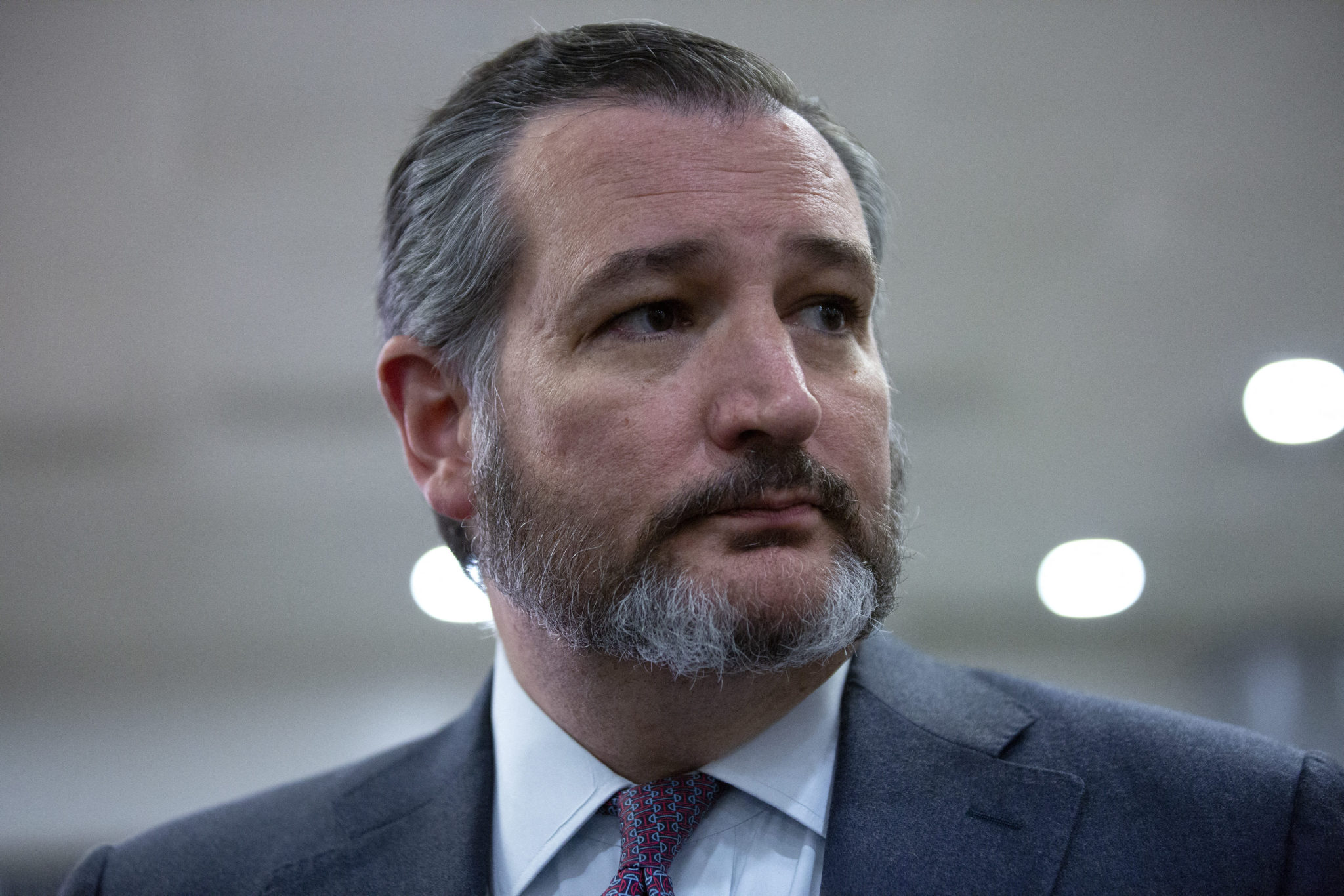 Ted Cruz Criticised For Flying To Mexico As Texans Endure Power Cuts And Freezing Temperatures Image