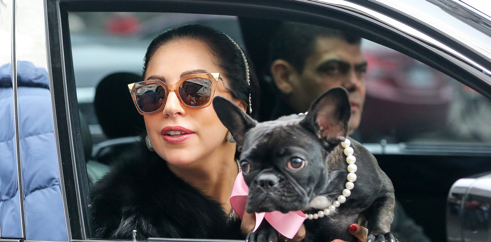 Lady Gaga's Dog Walker Reportedly Shot & Her French Bulldog's Stolen ...