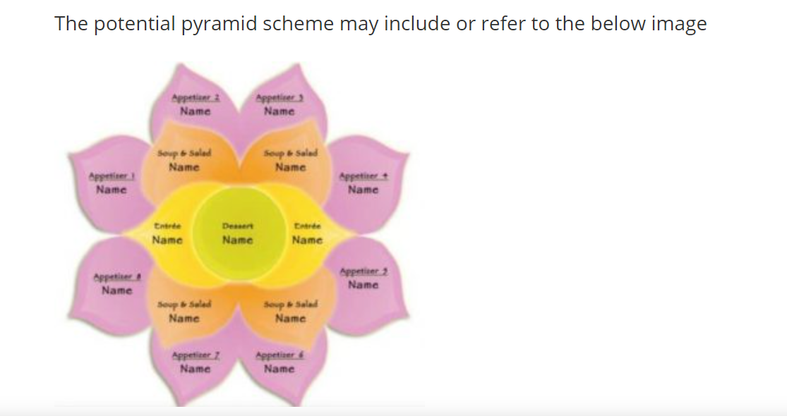 Image of the flower being used as part of a potential pyramid scheme