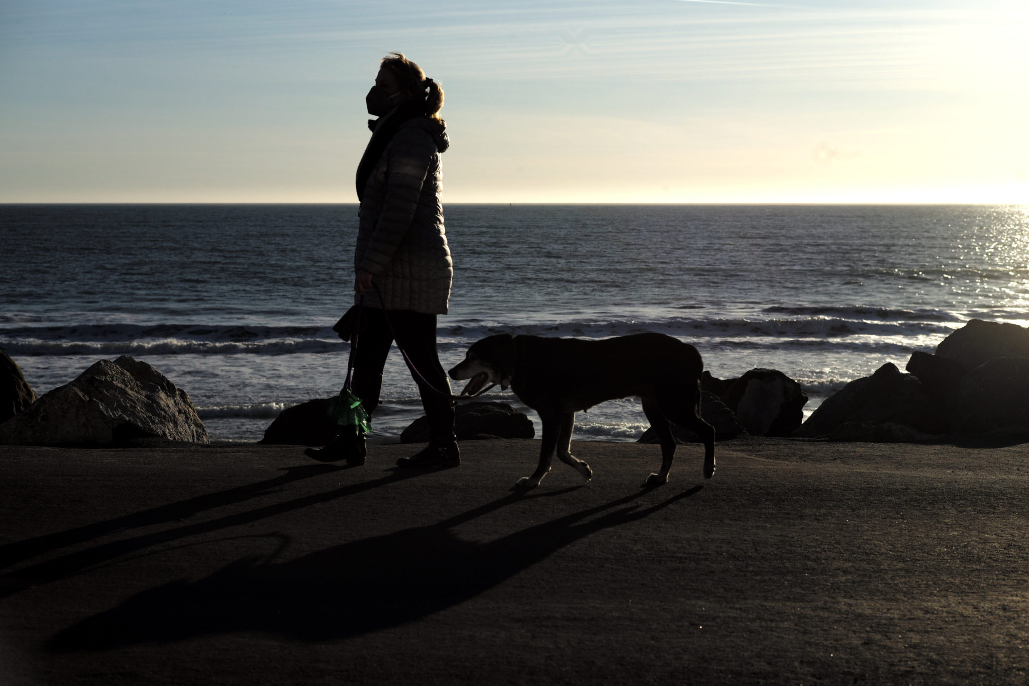 pete-the-vet-increasing-number-of-dogs-ingesting-ppe-newstalk