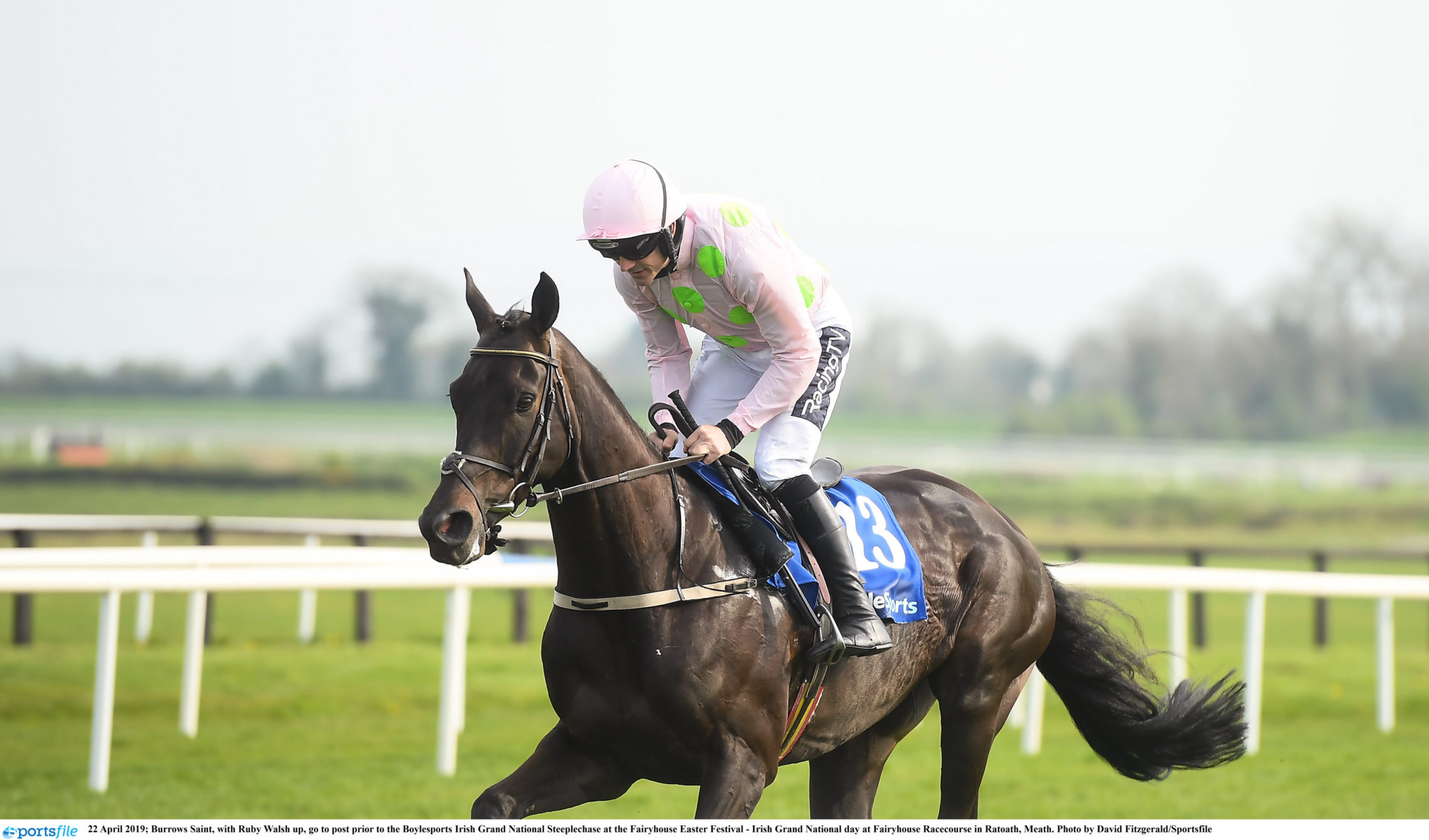 Tiger Roll And Burrows Saint Among 98 Entries For Irish Grand National 