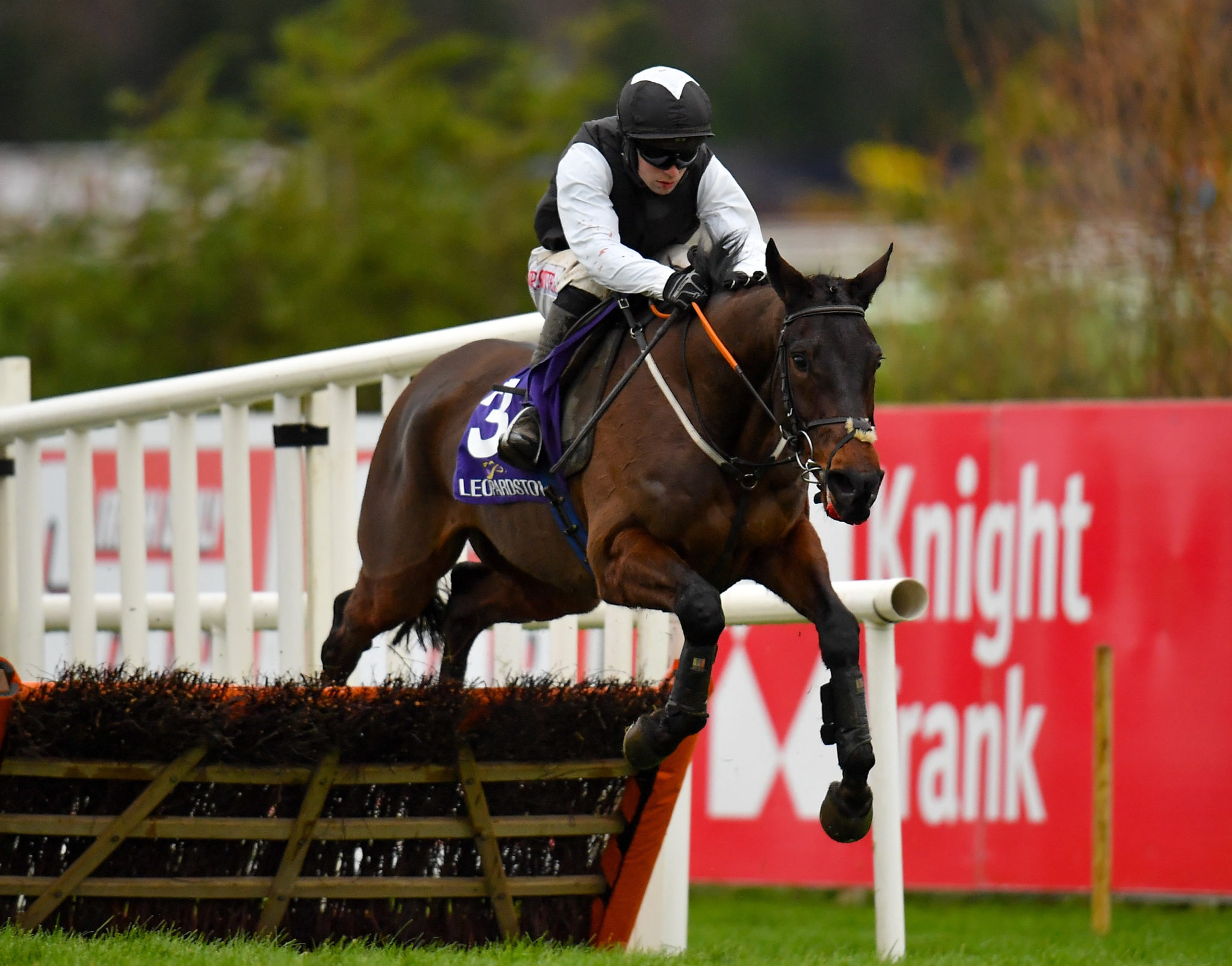 Irish dominance as Flooring Porter wins Paddy Power Stayers Hurdle
