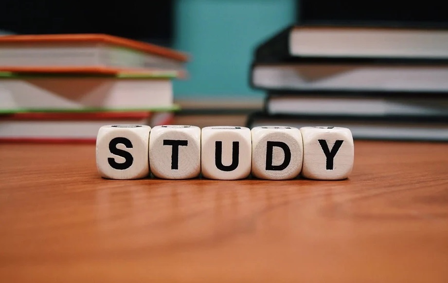 Leaving Cert. Image shows the word "study" spelled through dice, with one letter on each dice.