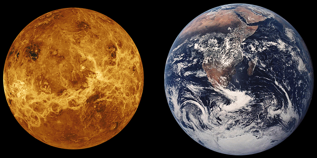 Panspermia Image