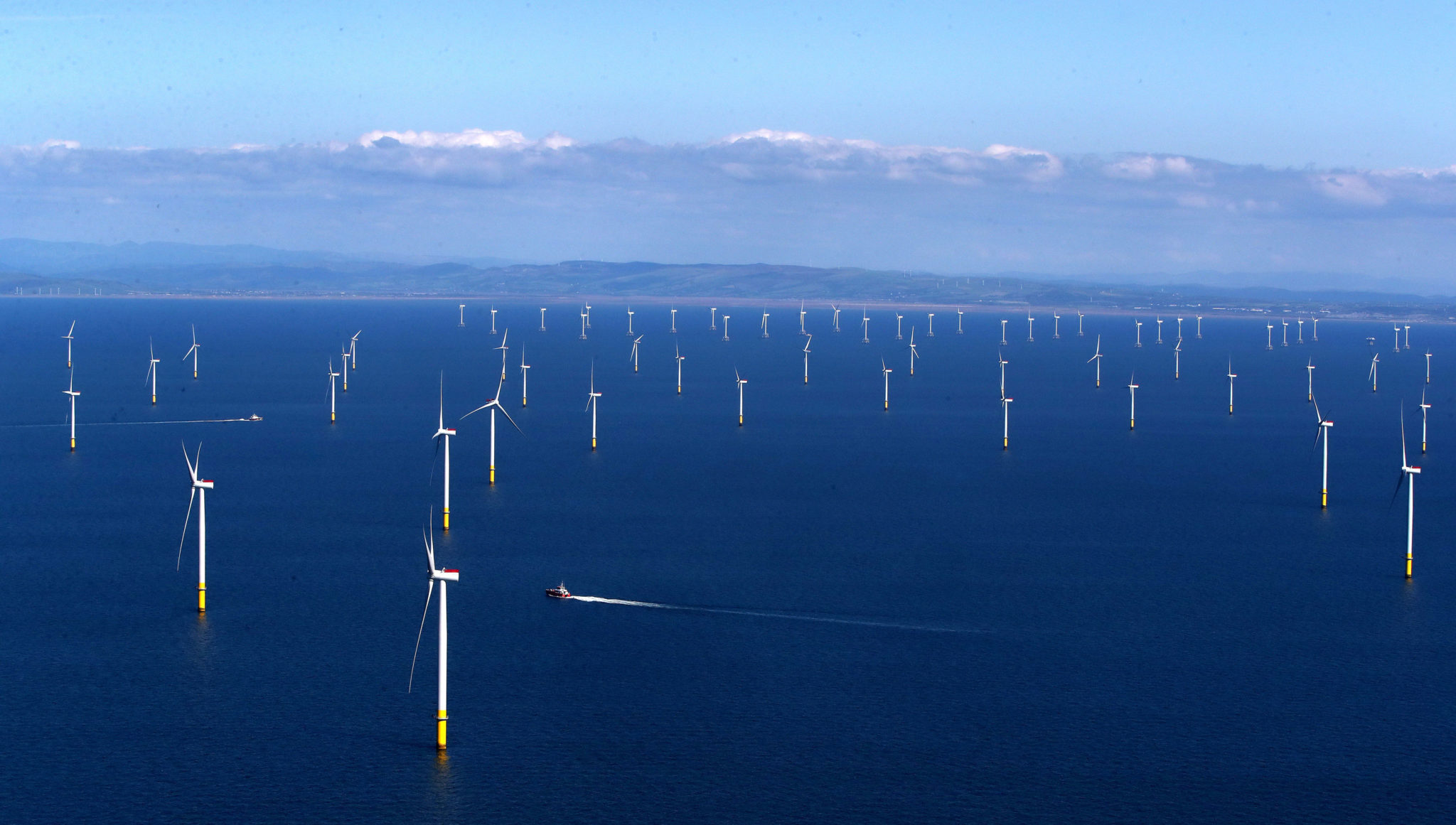 marine-life-must-be-protected-and-restored-as-wind-farms-are-rolled-out