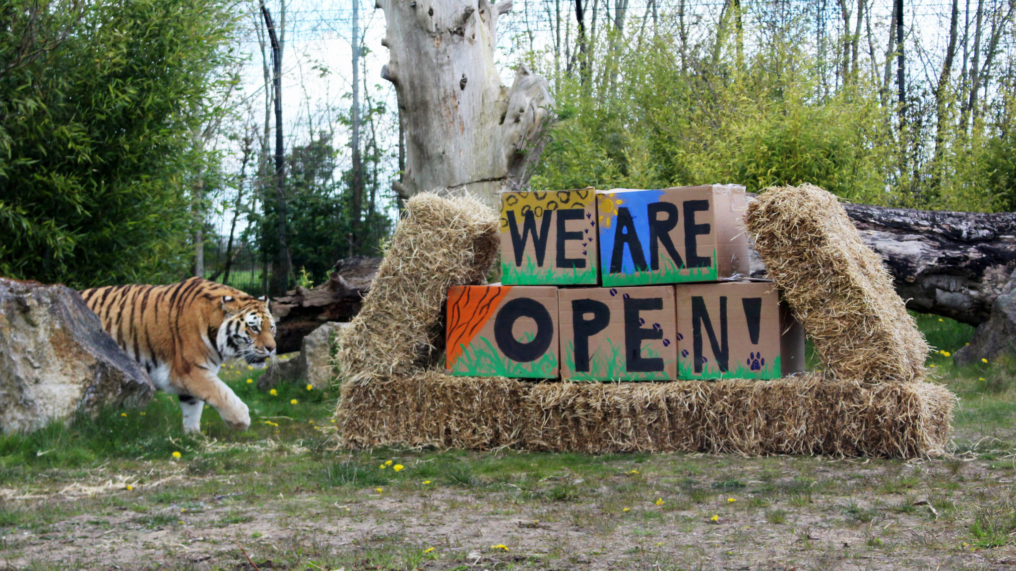 Tayto Park Zoo Confirms April Reopening Date & Details | www.98fm.com