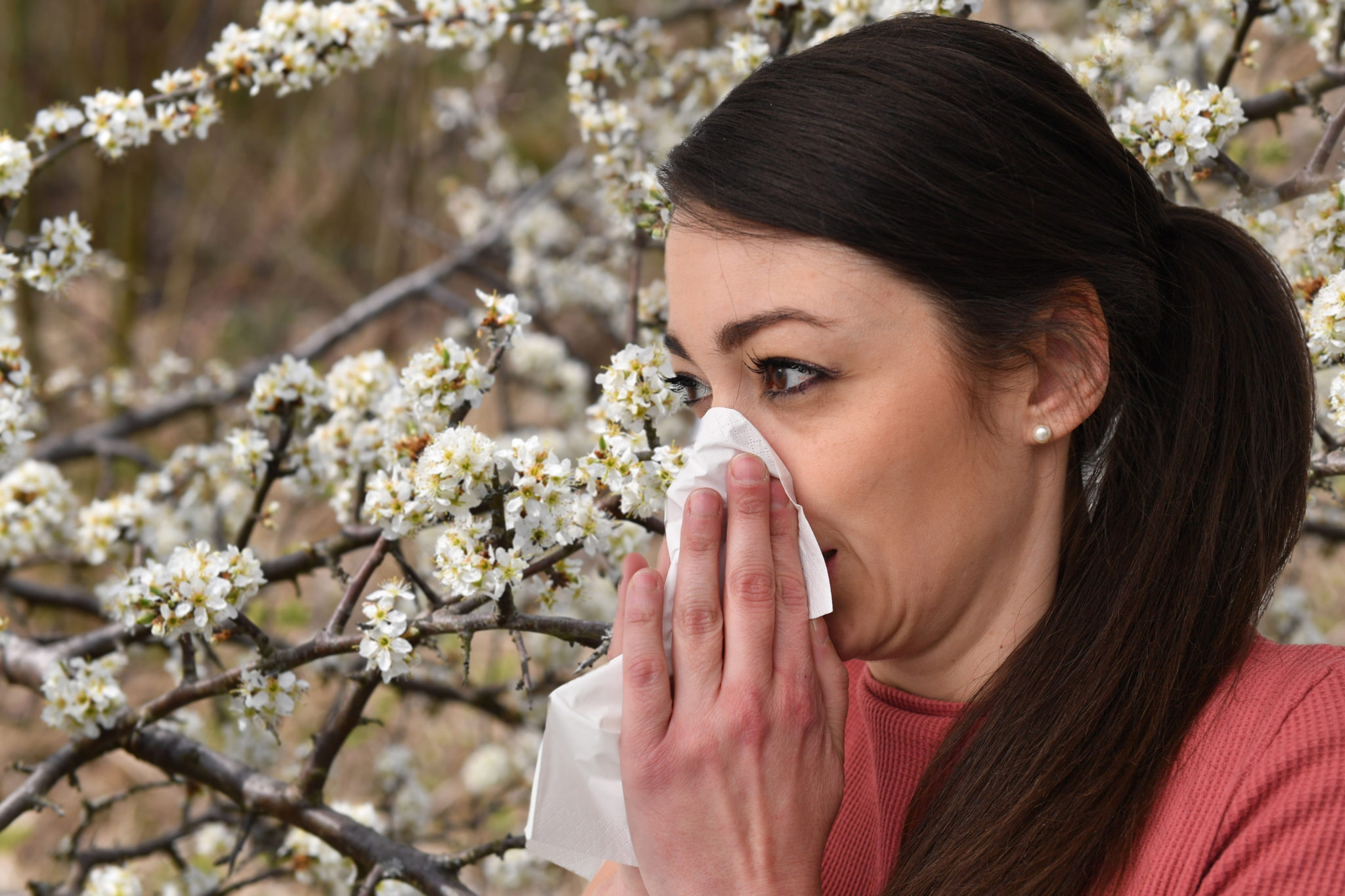 hay-fever-can-be-mistaken-for-covid-pharmacist-newstalk