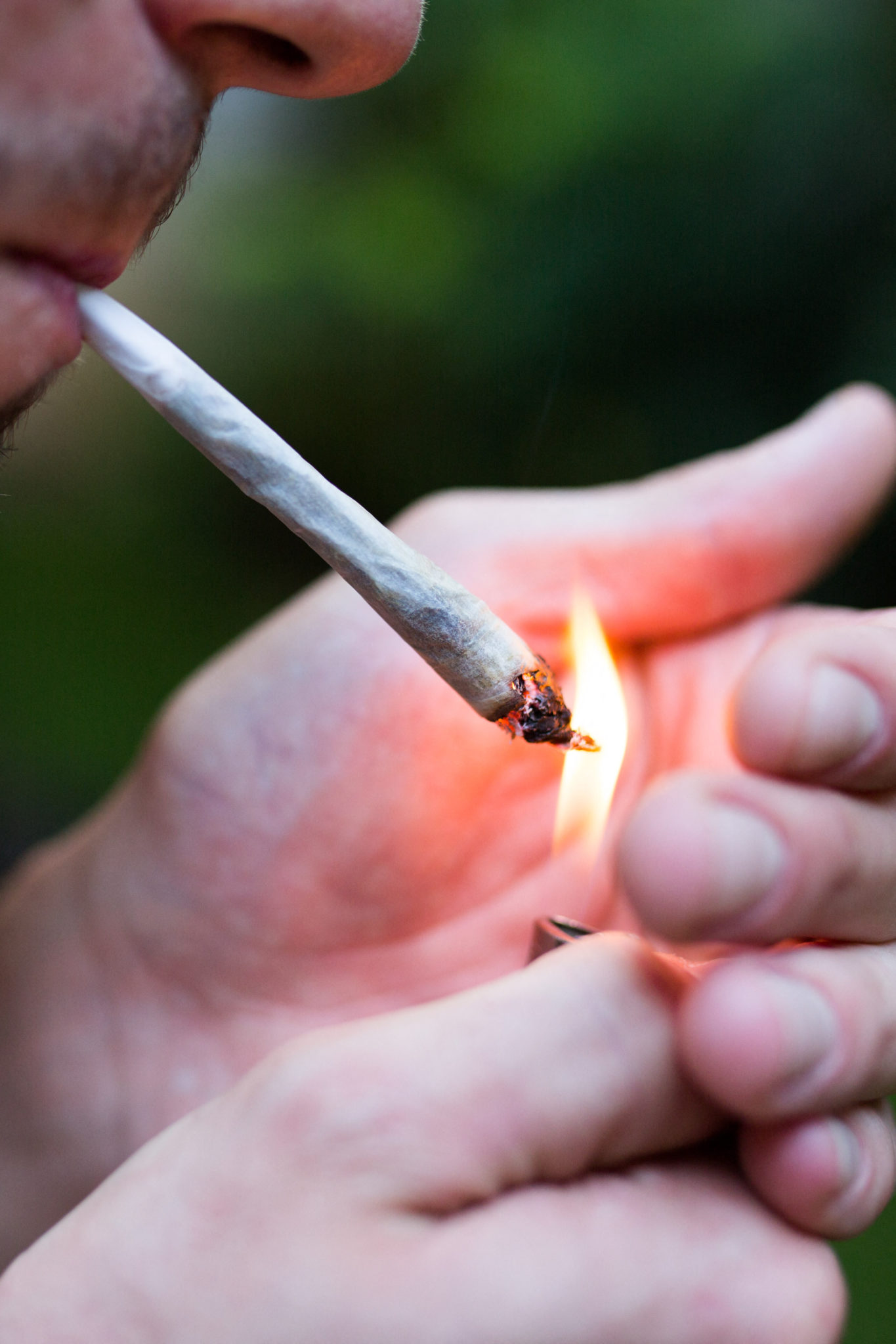 Just How Much Of A Threat Is Cannabis To Young People? Image