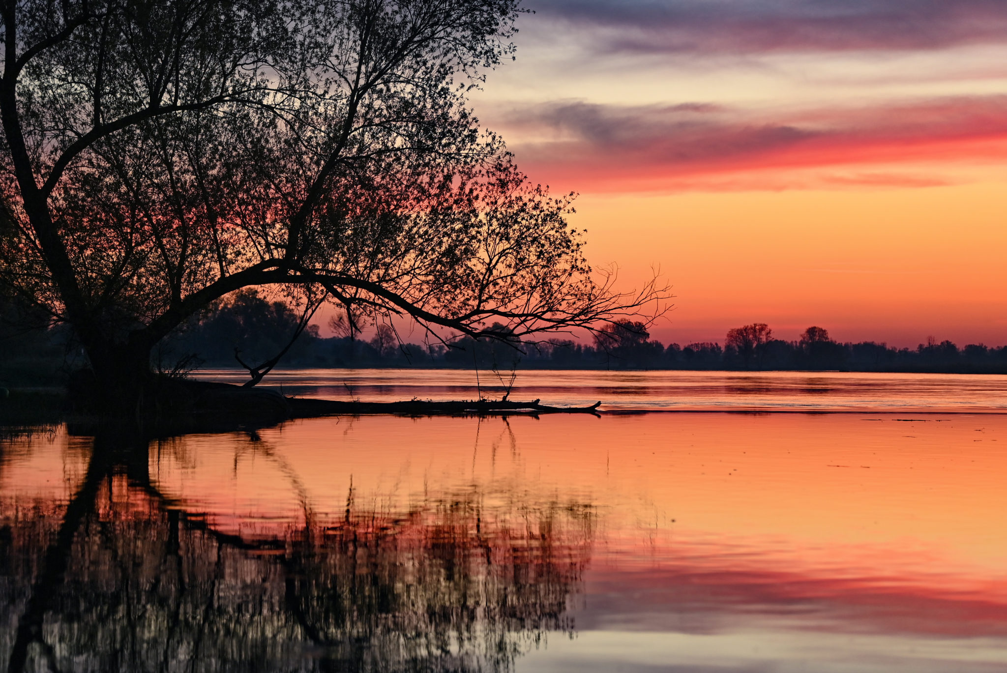 Green Scene: The World's Disappearing Rivers Image